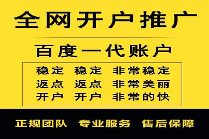 某电商平台sem竞价运营的突破与挑战